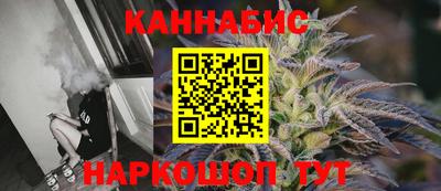 крисы Будённовск