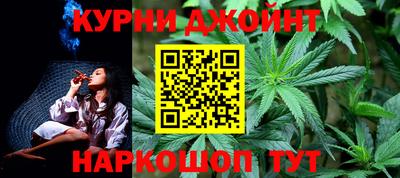 крисы Будённовск