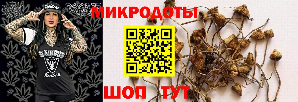 Арсеньев  Псилоцибиновые грибы Cubensis  даркнет сайт  Вход с VPN 