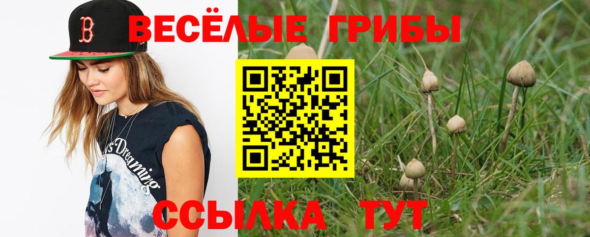 Галлюциногенные грибы мухоморы Арсеньев